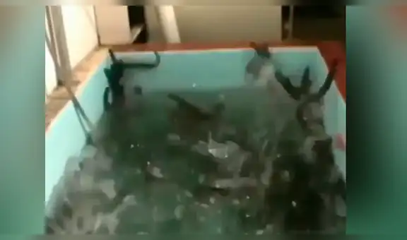 Arroja sustancia química a misterioso pozo de agua y cientos de ‘criaturas’ aparecen [VIDEO]