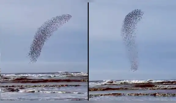 Capta extraña ‘mancha’ que se mueve en el cielo, hace zoom y descubre algo maravilloso [VIDEO]
