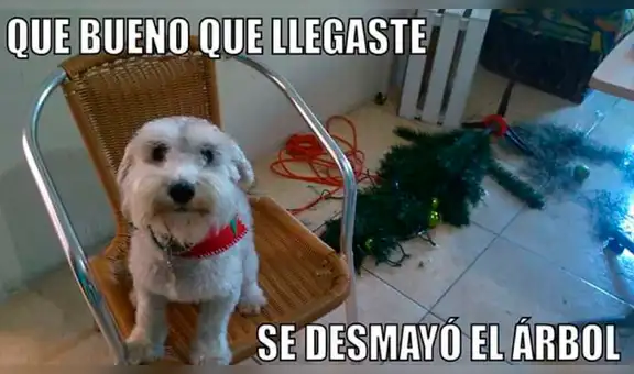 Facebook viral: mira los mejores memes por Navidad que te harán 'morir' de la risa [FOTOS]