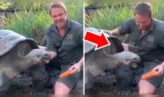 Facebook viral: gigantesca tortuga causa asombro al hacer lo impensado frente a turistas en zoológico [VIDEO]