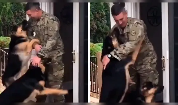 Soldado vuelve de la guerra y sus perros tienen insólita reacción [VIDEO]