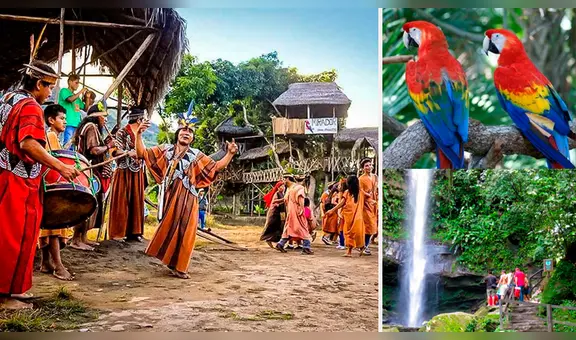 Descubre los fascinantes destinos de la selva en este feriado largo [FOTOS]