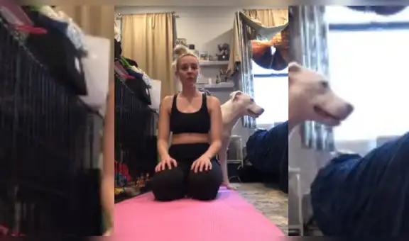 Intenta hacer tutorial de yoga y su perro lo arruina todo con peculiar conducta [VIDEO]