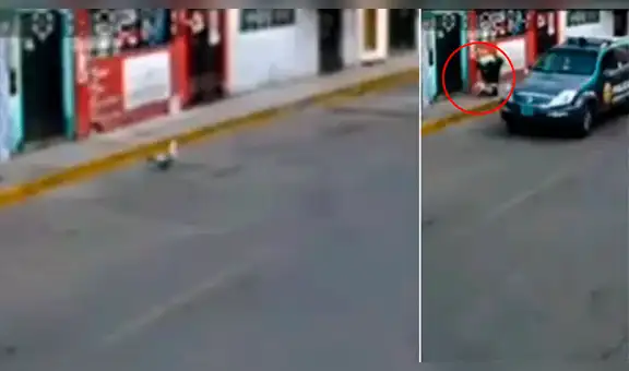 Facebook viral: graban a policía peruano ‘deteniendo’ a un pato callejero y video desconcierta a miles [VIDEO]