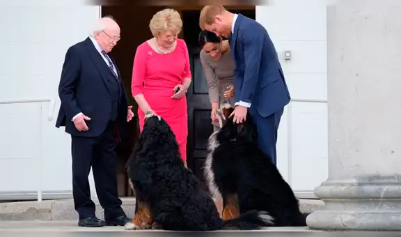 Perro del presidente de Irlanda conmueve a los usuarios con tierno gesto [VIDEO]