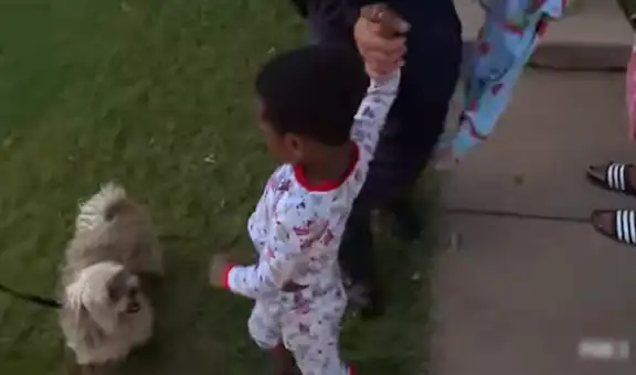Perro callejero protege a niño perdido hasta que se reencuentre con sus padres [FOTOS]