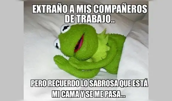 El Día del Trabajo se celebra en cuarentena y las redes sociales estallan con estos divertidos memes