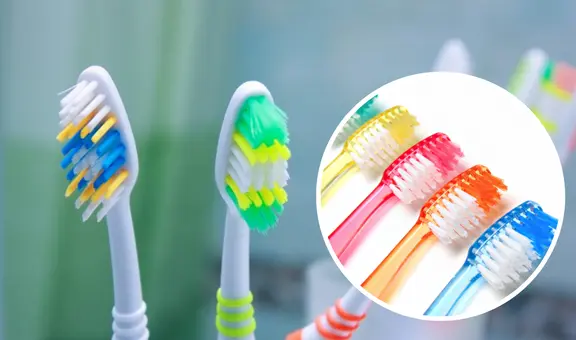 ¿Por qué los cepillos de dientes tienen cerdas de colores? Conoce su importante función