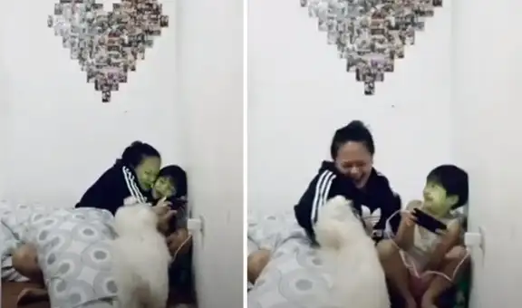 Perro ‘se molesta’ al compartir el cariño de su dueña y trata de apartar a un niño [VIDEO]
