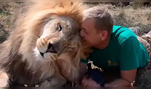 Cuidador de leones pone su brazo en dientes de uno de estos felinos y ocurre algo impensado [VIDEO]