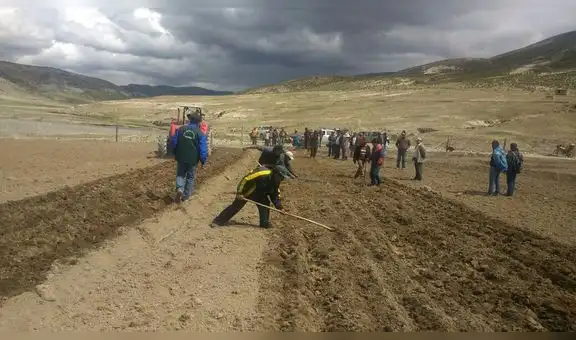 Más de 1.000 ganaderos de Moquegua serán beneficiados con siembra de pastos y forrajes