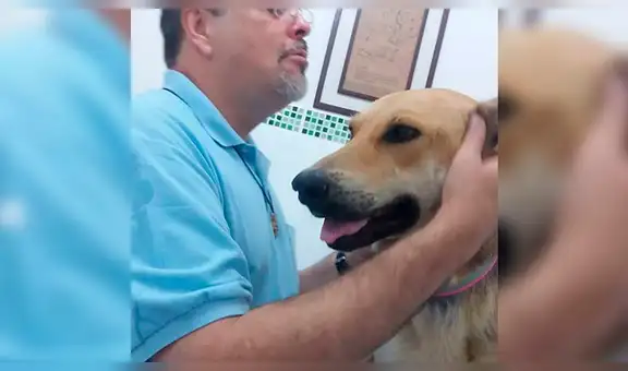 Brasil: Sacerdote realiza misa acompañados de perros para una noble misión [FOTOS]
