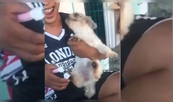 Perrito tiene dramática conducta para evitar que su dueño le corte las uñas [VIDEO]