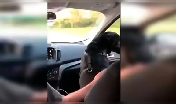 Hombre capta la curiosa reacción de su perro al pasar debajo de puentes peatonales [VIDEO]