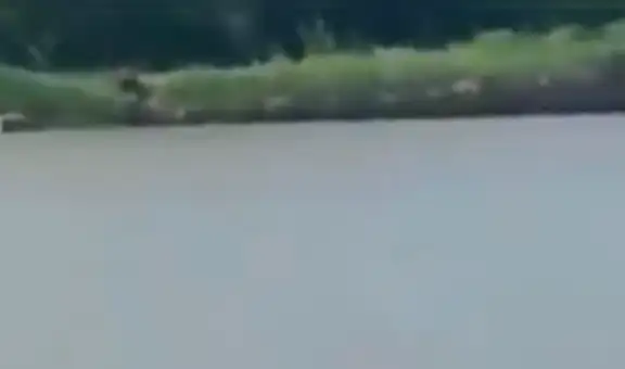 Joven pesca en río y capta a un misterioso ser que huyó en segundos al verlo [VIDEO]