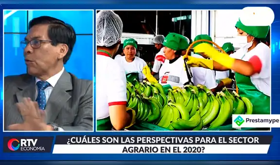 Agroexportaciones al 2021 no superarían meta de 10 mil millones de dólares
