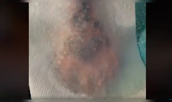 Joven pasa la peor vergüenza delante de sus amigos al tatuarse la foto de un furioso tigre [VIDEO]