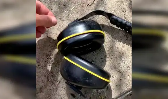 Hombre se lleva una sorpresa al revisar el interior de sus audífonos y halla una enorme araña  [VIDEO]