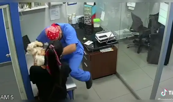 Gato observa a un perro sufrir por ser vacunado y tiene increíble reacción para ‘salvarlo’ [VIDEO]