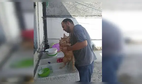 Facebook viral: señor encuentra a gato abandonado, lo lleva a su casa y sucede lo peor [VIDEO]