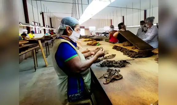 Trabajadores en suspensión perfecta tienen derecho al pago de gratificación por Fiestas Patrias