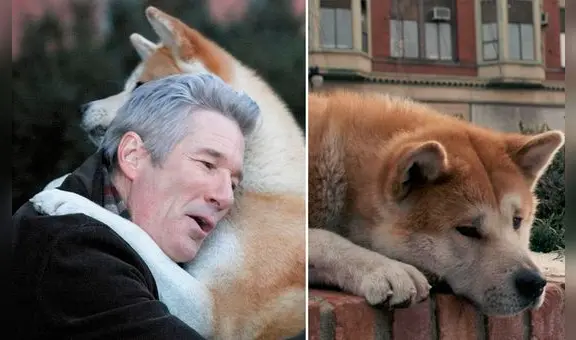 ‘Siempre a tu lado, Hachiko’: la película basada en el perro más fiel de la historia