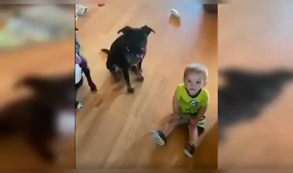 Niño escucha a su mamá dar indicaciones a sus perros e intenta copiarlos [VIDEO]