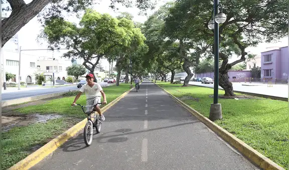Árboles para enfriar las ciudades