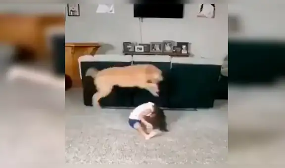 Mujer instala cámara de seguridad y descubre a su hija y a su perro en conmovedora situación [VIDEO]