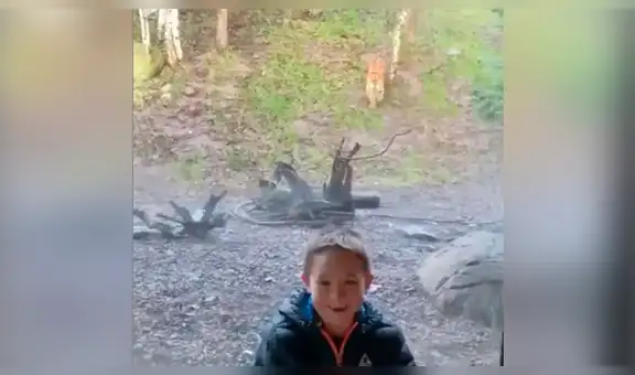 Feroz tigre ve a niño cerca de su jaula y se abalanza para devorarlo [VIDEO]