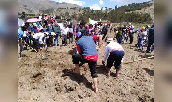 Minagri instalará más de 3 mil hectáreas para incrementar productividad de productores de zonas rurales