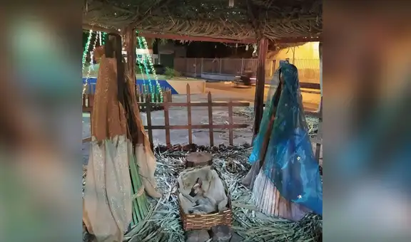 Encuentra a un perrito descansando en un nacimiento y le ayuda a buscar hogar