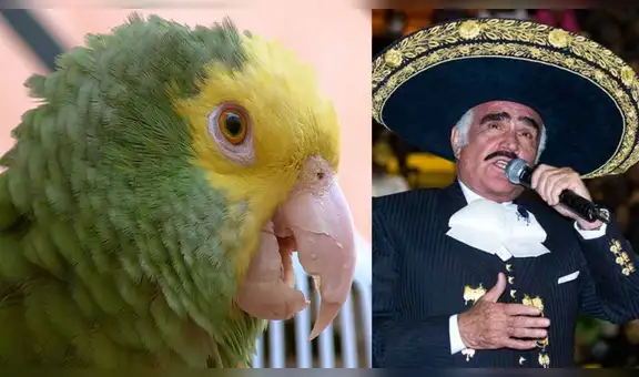 Loro interpreta la canción ’Volver, volver’ de Vicente Fernández para su dueña y genera asombro [VIDEO]