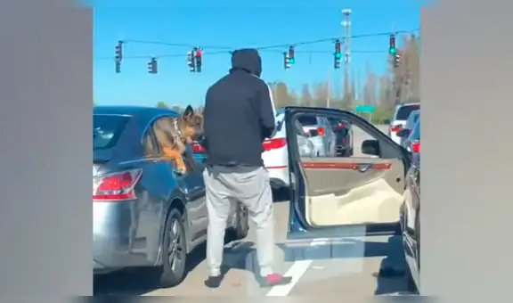 Perro intenta ver a su cachorro por última vez y hombre realiza emotivo gesto para ayudarlo [VIDEO]