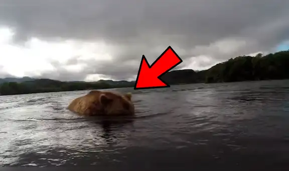 Facebook viral: pescador se topa con un oso y capta el impactante momento en que este atrapa a su presa [VIDEO]