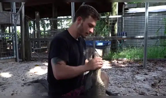 Joven entra a recinto de cocodrilo y cámara registra impensada escena del feroz animal [VIDEO]