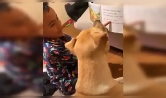 Madre regresa a casa y encuentra a su hijo dando ‘lecciones de lectura’ a su perro [VIDEO]