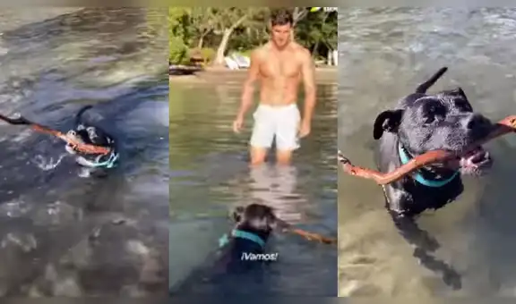 Adopta a perro callejero y descubre su insólita reacción al saber que irá a la playa [VIDEO]