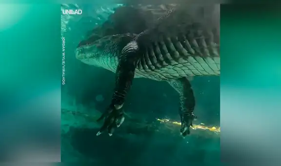 Chico nada en un profundo lago y queda aterrado al ser sorprendido por una extraña criatura [VIDEO]