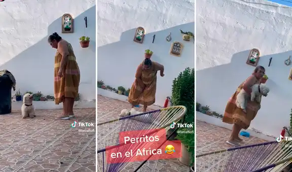 Regaña a su mascota por no querer comer: “Cuantos perritos en África que están muriendo de hambre”