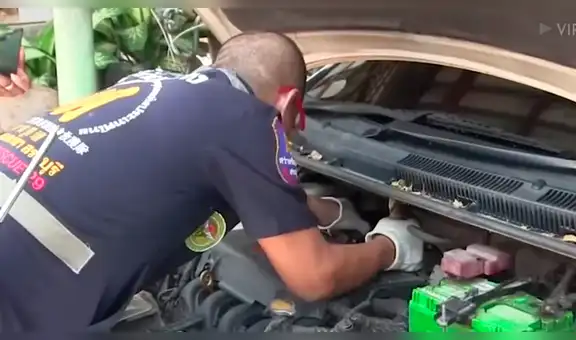 Mecánico queda aterrado al inspeccionar carro y hallar una peligrosa criatura [VIDEO]