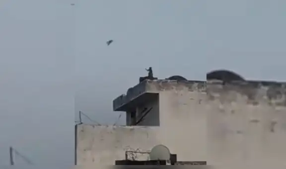 Mono es grabado volando una cometa en el techo  de un edificio [VIDEO]