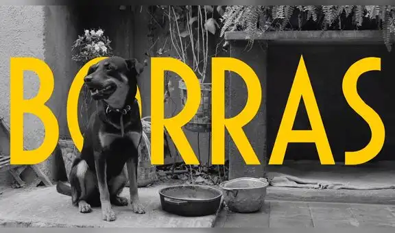 Roma: Alfonso Cuarón comparte la 'Cumbia del Borras'