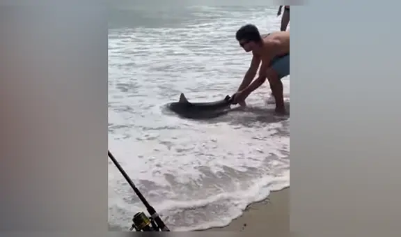 Tiburón bebé emerge del mar y bañistas se acercan para tomarse un selfie con él [VIDEO]