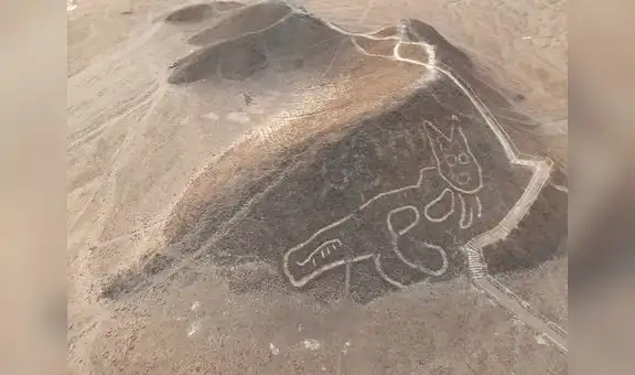 El nuevo felino de Nasca