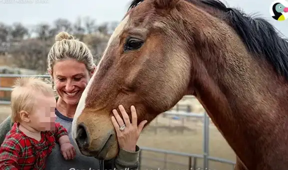 Bebé y caballo protagonizan tierna escena que emociona a todos