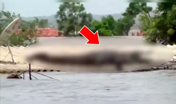 YouTube viral: abandona su casa por inundación, regresa y encuentra un feroz depredador en su techo [VIDEO] 