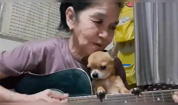 Tailandesa interpreta ‘Hey jude’ de The Beatles junto a su chihuahua y sorprende por su talento [VIDEO]