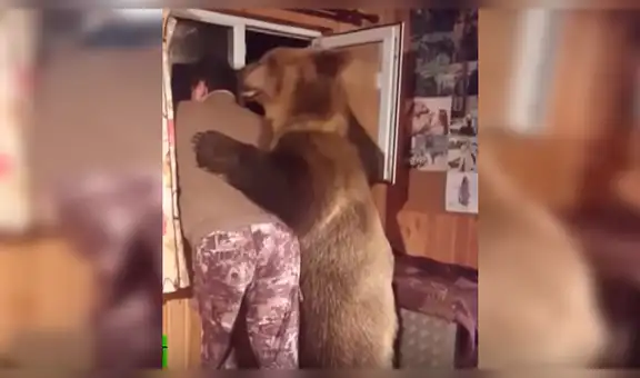 Oso se acerca a su cuidador mientras estaba de espaldas y lo sorprende con cariñosa reacción [VIDEO]