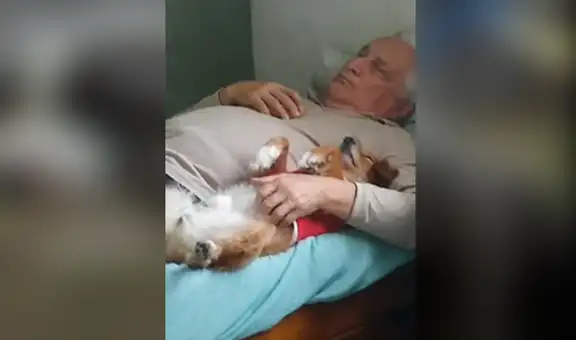 Deja a su perro al cuidado de su abuelo y capta tierna escena